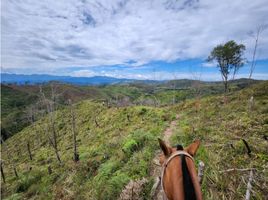 3 Bedroom Villa for sale in Yolombo, Antioquia, Yolombo