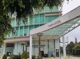 145 m² Office for rent in Naucalpan De Juarez, Mexico, Naucalpan De Juarez