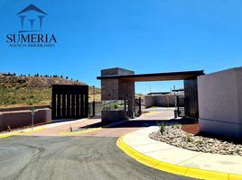  Grundstück zu verkaufen in Chihuahua, Chihuahua, Chihuahua, Chihuahua
