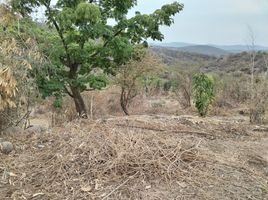  Land for sale in Miacatlan, Morelos, Miacatlan