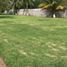5 Bedroom Quinta for sale in Medellin, Veracruz, Medellin, Veracruz