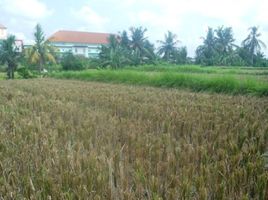  Grundstück zu verkaufen in Gianyar, Bali, Ubud