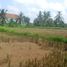  Land for sale in Ubud, Gianyar, Ubud