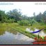  Land for sale in Ubud, Gianyar, Ubud