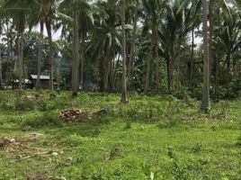  Land for sale in Mabinay, Negros Oriental, Mabinay