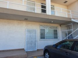 1 Habitación Apartamento en alquiler en Tijuana, Baja California, Tijuana