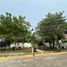 3 Habitación Villa en venta en Jalpa De Mendez, Tabasco, Jalpa De Mendez