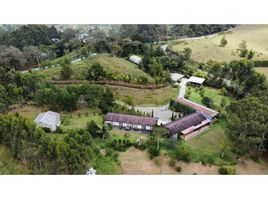 6 Bedroom House for sale in Antioquia, Rionegro, Antioquia