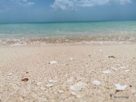  Grundstück zu verkaufen in Celestun, Yucatan, Celestun