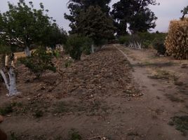 在San Salvador El Verde, Puebla出售的3 卧室 别墅, San Salvador El Verde