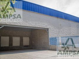 Studio Haus zu vermieten in Toluca, Mexico, Toluca