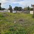  Terrain for sale in Maule, Villa Alegre, Linares, Maule