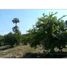  Land for sale in Amacuzac, Morelos, Amacuzac