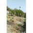  Land for sale in Amacuzac, Morelos, Amacuzac