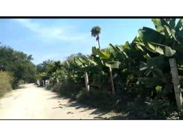  Land for sale in Amacuzac, Morelos, Amacuzac