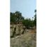  Land for sale in Amacuzac, Morelos, Amacuzac