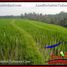  Land for sale in Selemadeg, Tabanan, Selemadeg