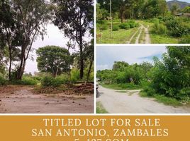  Land for sale in Zambales, Central Luzon, San Antonio, Zambales