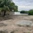  Grundstück zu verkaufen in Yobain, Yucatan, Yobain