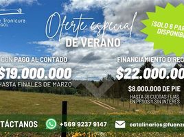  Terreno (Parcela) en venta en Los Sauces, Malleco, Los Sauces
