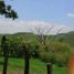 2 Bedroom House for sale in Jiquipilas, Chiapas, Jiquipilas, Chiapas