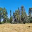  Terreno (Parcela) en venta en Chile, Los Angeles, Biobío, Biobío, Chile
