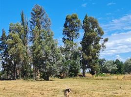  Terreno (Parcela) en venta en Chile, Los Angeles, Biobío, Biobío, Chile