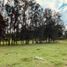  Terreno (Parcela) en venta en Xico, Veracruz, Xico