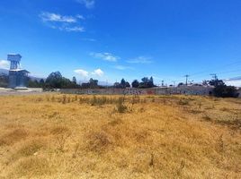  Land for sale in Puembo, Quito, Puembo