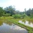  Land for sale in Ubud, Gianyar, Ubud