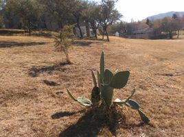  Terreno (Parcela) en venta en Capital, Cordobá, Capital