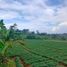  Land for sale in Bandung, West Jawa, Cileunyi, Bandung