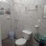 Studio Appartement zu vermieten in Merida, Yucatan, Merida, Yucatan