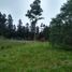  Land for sale in Exaltacion De La Cruz, Buenos Aires, Exaltacion De La Cruz