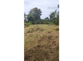  Land for sale in Quindio, Armenia, Quindio