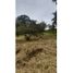  Land for sale in Quindio, Armenia, Quindio