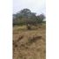  Land for sale in Quindio, Armenia, Quindio