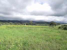 Land for sale in Texcoco, Mexico, Texcoco