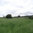  Land for sale in Texcoco, Mexico, Texcoco