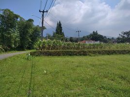  Land for sale in Bogor, West Jawa, Cijeruk, Bogor