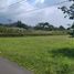  Land for sale in Bogor, West Jawa, Cijeruk, Bogor