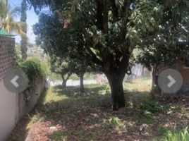  Grundstück zu verkaufen in Atlatlahucan, Morelos, Atlatlahucan