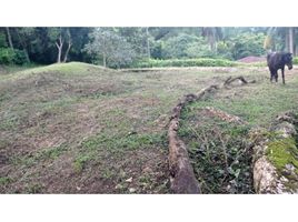  Terreno (Parcela) en venta en San Jeronimo, Antioquia, San Jeronimo