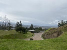  Land for sale in Tumbaco, Pichincha, Tumbaco