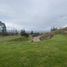  Land for sale in Tumbaco, Pichincha, Tumbaco