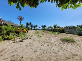  Land for sale in San Vicente, Manabi, San Vicente, San Vicente