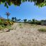  Land for sale in San Vicente Manabi, San Vicente, San Vicente