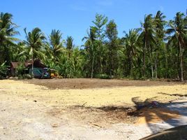  Land for sale in Yogyakarta, Pengasih, Kulon Progo, Yogyakarta