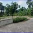  Land for sale in Prambanan, Klaten, Prambanan