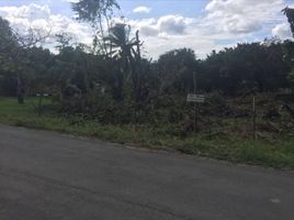  Terreno (Parcela) en venta en Chame, Panamá Oeste, Nueva Gorgona, Chame